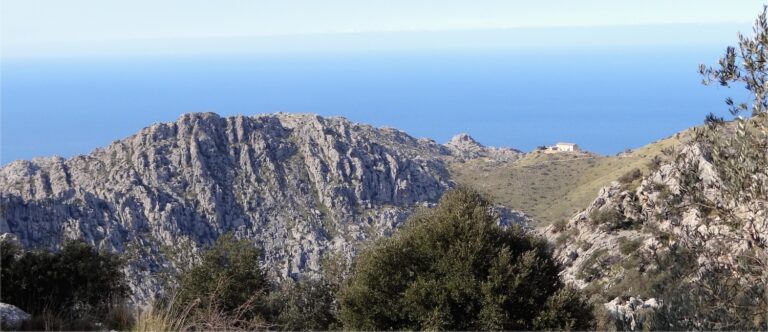 Puig Roig
