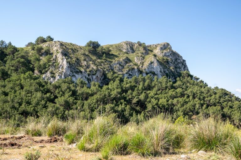 Von S’Alqueria Vella durch den Naturpark Llevant